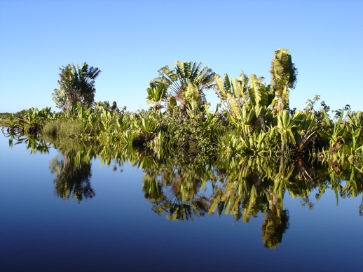 ../Images/Madagaskar, 25.05.-10.06.07, Foto (710).JPG
